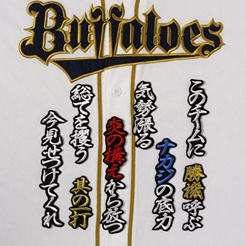 Amazon.co.jp: 中島 応援歌 白金赤青黒 刺繍 ワッペン オリックス