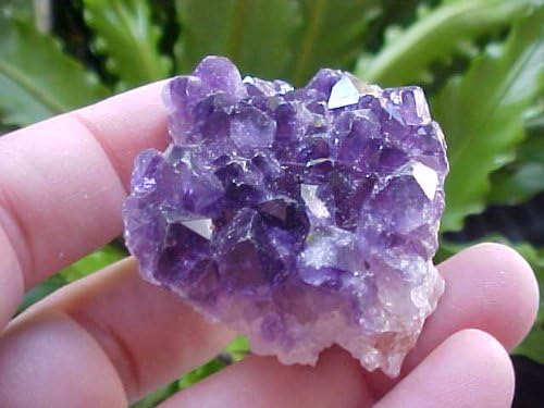 B5709 Gemqz Amethyst Crystal Cluster Uruguay !!!!
