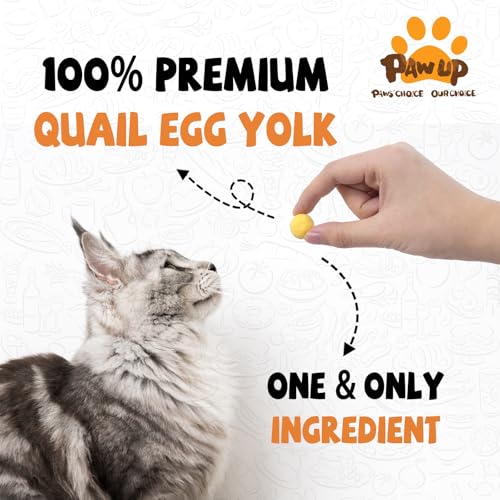 PAWUP Freeze Dried Quail Egg Yolk Pet Treats, Freeze-Dried Pet Food for Dogs, Cats, Pure Fresh Ingredient, 4.2 oz, Rawhide Free, Gluten&Grain Free