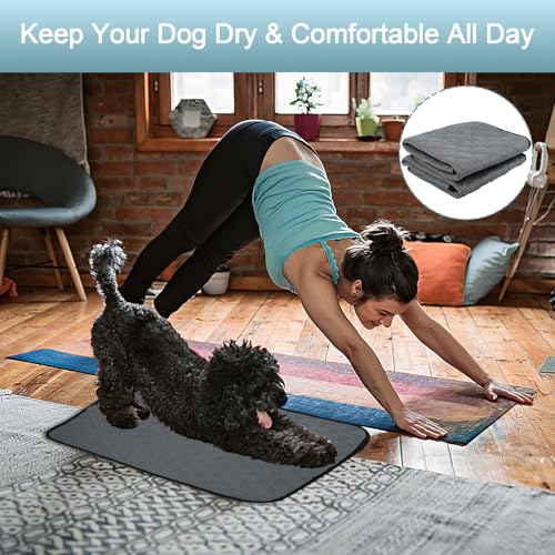 2 Stück Welpenunterlagen Waschbar, 60 × 50cm Hundedecke Wasserdicht Antirutsch, Super Saugfähig PIPI Matten für Hunde, Wiederverwendbare Hundetrainingspads, Hundematte für Boden Sofa Auto Reisen