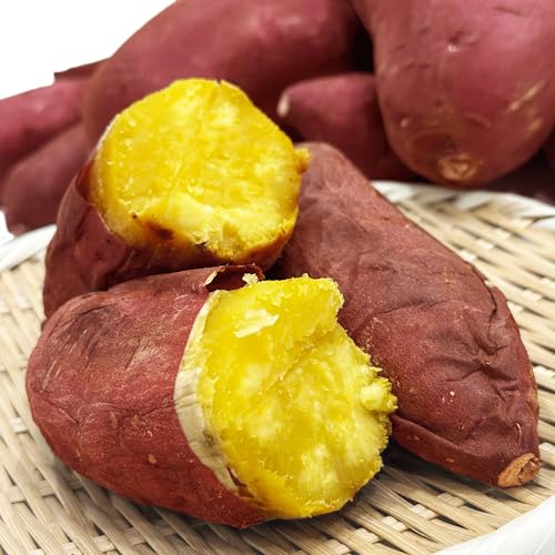 【サイズ混合 S~L】シルクスイート 5kg 農家直送 千葉県産 成田市 大栄 富里市 産地直送 さつまいも なめらか ホクホク 芋
