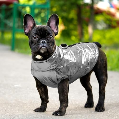 Veste d'extérieur imperméable pour chien pour protéger votre compagnon - 5