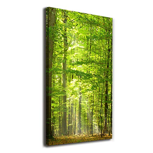 Image sur toile forêt de hêtres vert 70x140 cm | Grand tableau de paysage mural