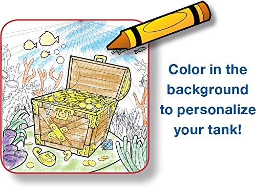 Penn-Plax Rite-Bite Educational Betta Tank – A Perfect First Aquarium For Children With Adult Supervision – 1.13 Gallon #TOP5