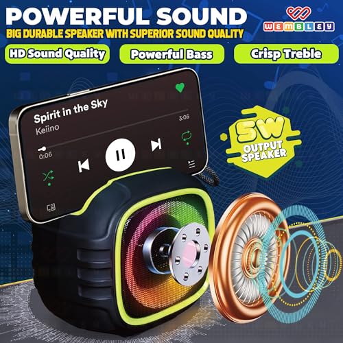 Image of Wembley Karaoke Machine with 2 Wireless Microphone for Adults & Kids | Portable Bluetooth Speaker with RGB LED Lights, HD Sound, 5 Voice Modes & 5W Output | Party Speaker with Wireless Mic