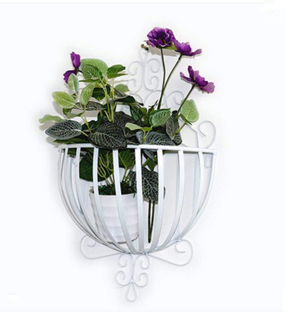 Ezzu Crafts Wall Hanging Planters Bracket,Metal Craft Bracket,Vertical Garden Vintage Industrial,Hanging Railing Planter Flower Plant Holder,for Indoor and Outdoor Use Flowers, White (B0867MYTFP) Amazon Price History, Amazon Price Tracker