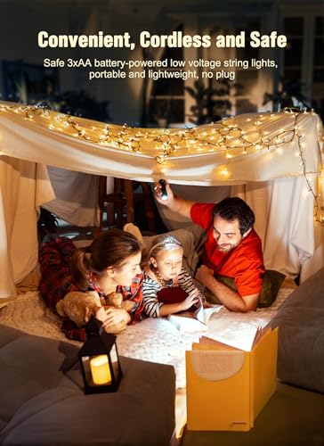Image of Brightown Battery Operated Christmas String Lights with Timer 2 Pack