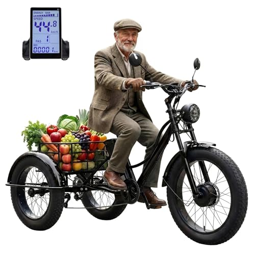 WuXQuuzlh Triciclo Eléctrico para Adultos 24 Pulgadas, Equipado con Un NeumáTico Trasero De Nieve De 20 Pulgadas, Pantalla LCD Digital, Cesta De Almacenamiento Trasera para Ideal para Uso Familiar B