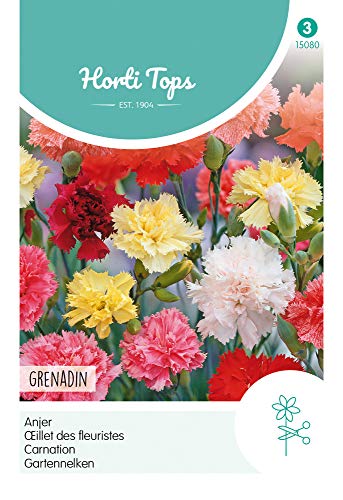 Preisvergleich Produktbild Hortitops 15080 Gartennelken Grenadin Gefüllte Mischung (Nelkensamen)