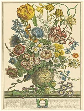 Miniatura 1 de Robert Furber - Doce Meses de Flores 1730Marzo Lámina 15 x 20