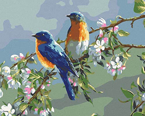 ZUTY- Dipingere con i Numeri, Colore Tutti, 988232...