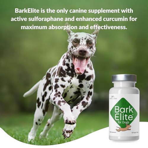 Mara Labs BarkElite for Dogs | Stabilized Sulforaphane & Bio-Enhanced Curcumin 50/50 Blend | Veterinarian Formulated | Supports Joint Mobility, Enhanced Energy and General Well-Being | 30 Capsules — view 5