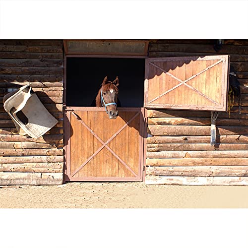 Toile de fond écurie photographie cowboy Aoihrraan décor anniversaire Far West