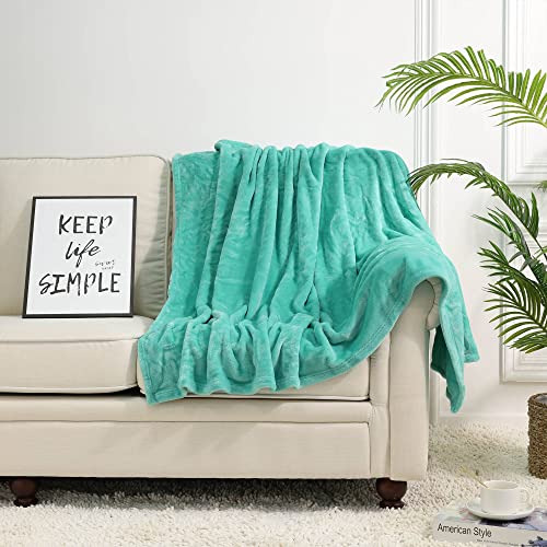 Image of NANPIPER Fleece Blankets, Super Soft Flannel Fuzzy Blanket for Couch, Luxury Cozy Lightweight Microfiber Dog Blanket-Throw Size,Lake Blue