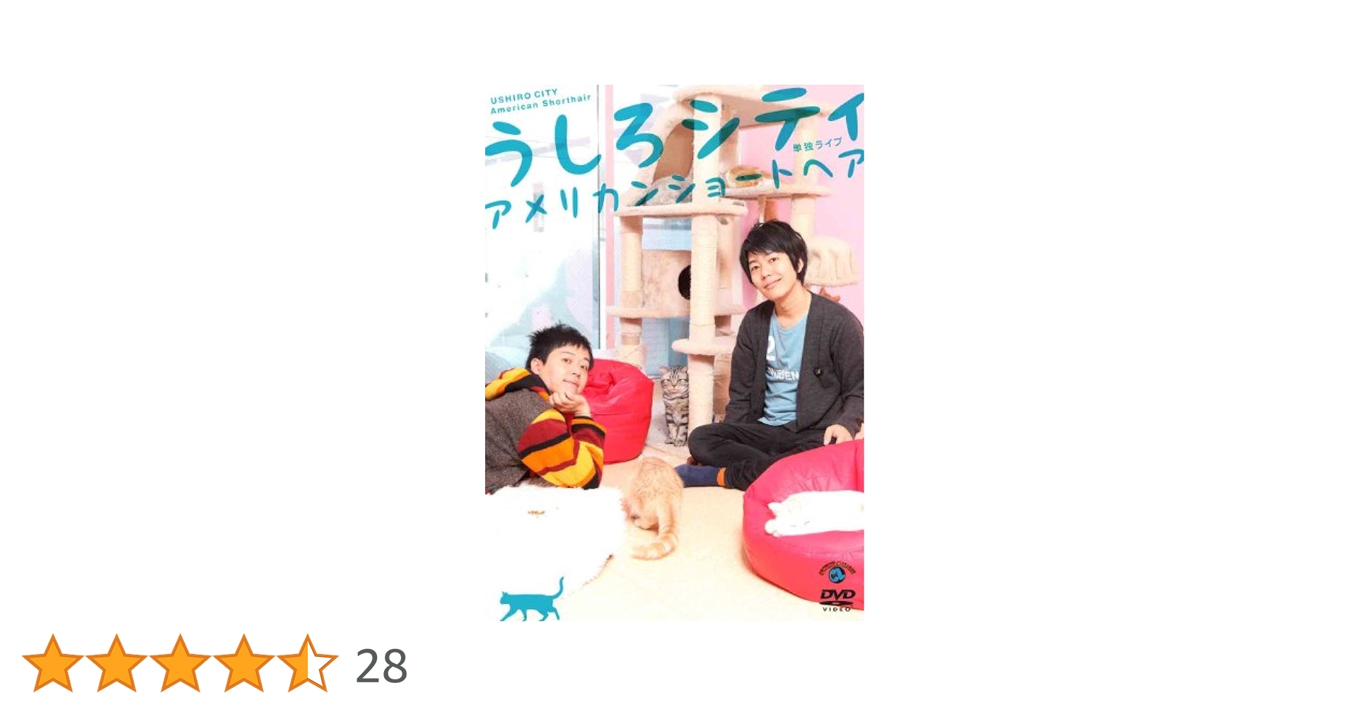 Amazon.co.jp: うしろシティ単独ライブ「アメリカンショートヘア
