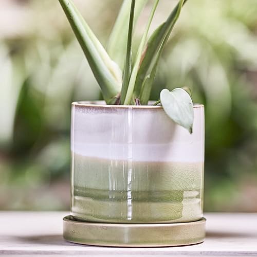 Miniatura 20 de CHIVE Macetas de cerámica para suculentas 'Minute', macetas de 5 pulgadas para cactus y flores de interior con drenaje y platillo desmontable, verde