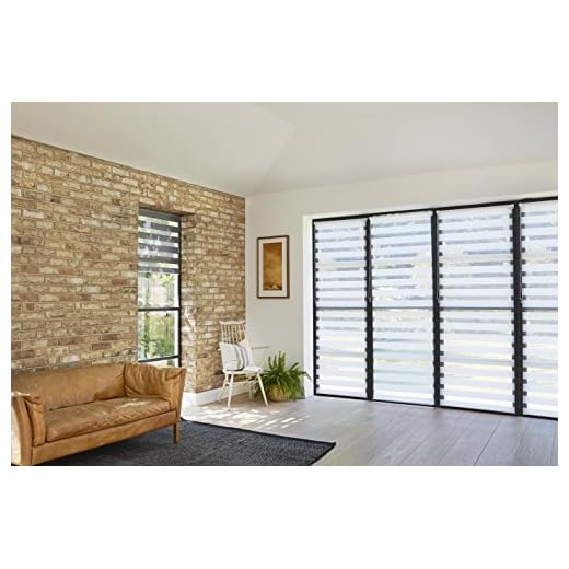 AmazonBasics - Tenda a rullo a doppio strato, Bianco, 56 x 150 cm