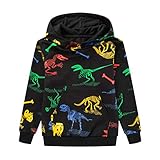 HZXVic Pullover Hoodies for Teen Boys,Toddler Lightweight Sweatshirt,Kids Dinosaur Long Sleeve Sweat...