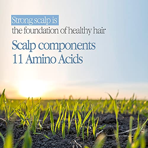 Bouquet Garni Treatment Cherry Blossom - Long Lasting Fragrance Natural Hair Conditioner - Natrual Surfactant Giving Soft And Soothing Cleansing To Scalp And Hair - Argan Oil Protein Amino 16.9 Fl Oz #TOP6