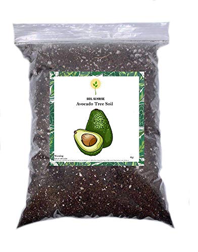 Avocado Tree Seedling and Pit Growing Soil, Soil for Transferring Sprouted Pits to Soil, Potting Soil for Avocados, Plant Seedlings, 4qt Bag