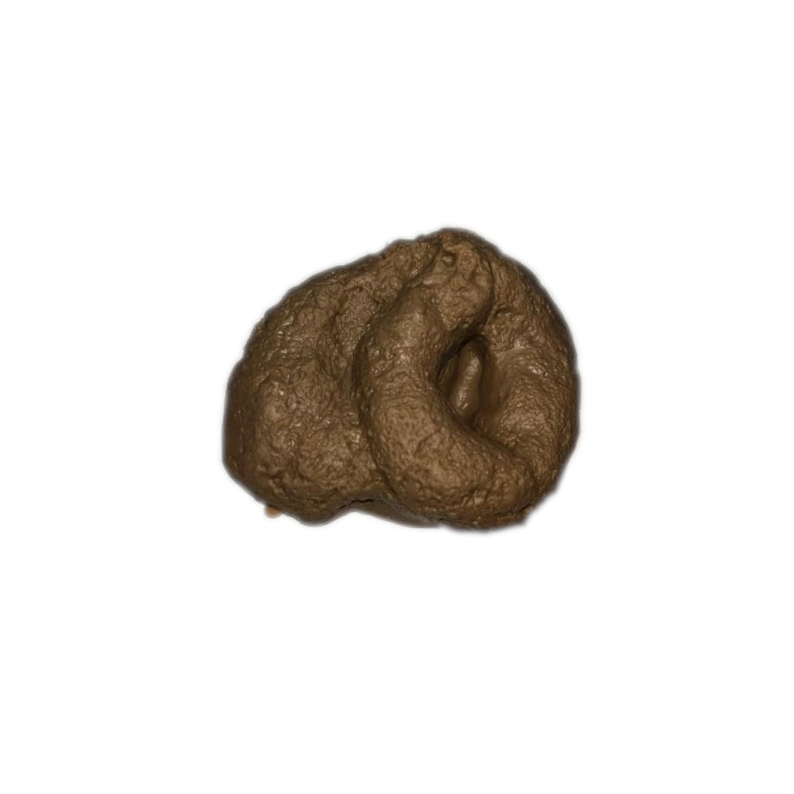 CHICHIYANG Toys Prank Props, Realistic Poop Fake Human Poop Crap Turd Shit Dog Poop Jokes Prank