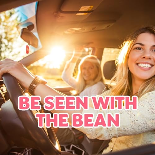 Image of Jelly Belly Duo Car Air Freshener Vent Clips, Tutti-Fruitti Scent, 2 Pack, Fun and Fruity Car Vent Clips With an Iconic Jelly Bean Shape