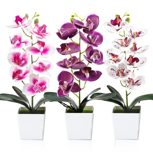 3 Orchideen künstlich 30cmKunstblumen & -Pflanzen Phalaenopsis Kunstpflanze