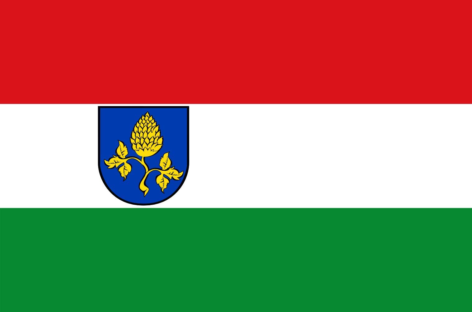 Drapeau Peize vlag 1969a format large pour pavoiser l'ancienne commune de Drenthe