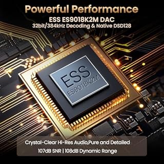 HIFI WALKER H2, High Resolution MP3 Player with Bluetooth5.2, DSD DAC, HiFi Portable Digital Audio Player Lossless High-Res Music Player with 64GB Memory Card, Support Up to 512GB