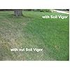 44 Lbs. (20kg.) Bag of Soil Vigor Super Absorbent Polymer, Moisture Trap for All Plants, Trees, Shrubs, Vegetable, Flower Gardens, and Lawns
