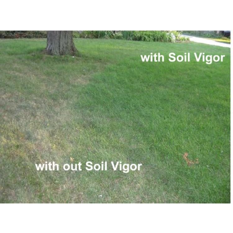 44 Lbs. (20kg.) Bag of Soil Vigor Super Absorbent Polymer, Moisture Trap for All Plants, Trees, Shrubs, Vegetable, Flower Gardens, and Lawns
