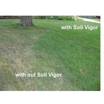 1LB Potassium Polyacrylate Super Absorbent Polymer Water Crystals - Hydro Gel Granules for Indoor & Outdoor Plants, Lawns & Garden - Safe for Vegetables - Reduces Watering Needs