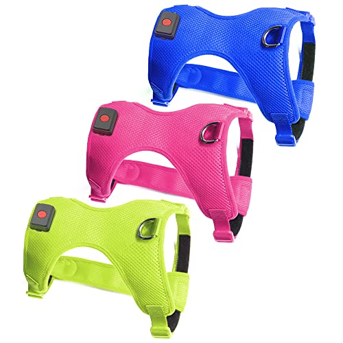 Bseen Light Up Dog Harness - No Pull Led Dog Harness, Rechargeable Led Dog Vest, Lighted Dog Walking Harness(Rose Red, Medium) #TOP4