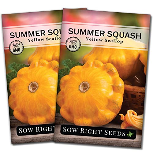 Sow Right Seeds - Yellow Scallop Summer Squash Seed for