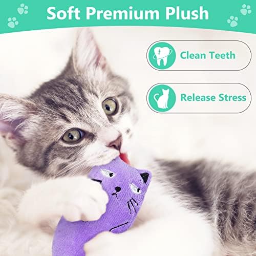 Cat Catnip Toys, 8 Pack Cat Plush Toy with Teeth Cleaning, Interactive Entertaining Pet Chewing Pillow for Indoor Kitten, Cat