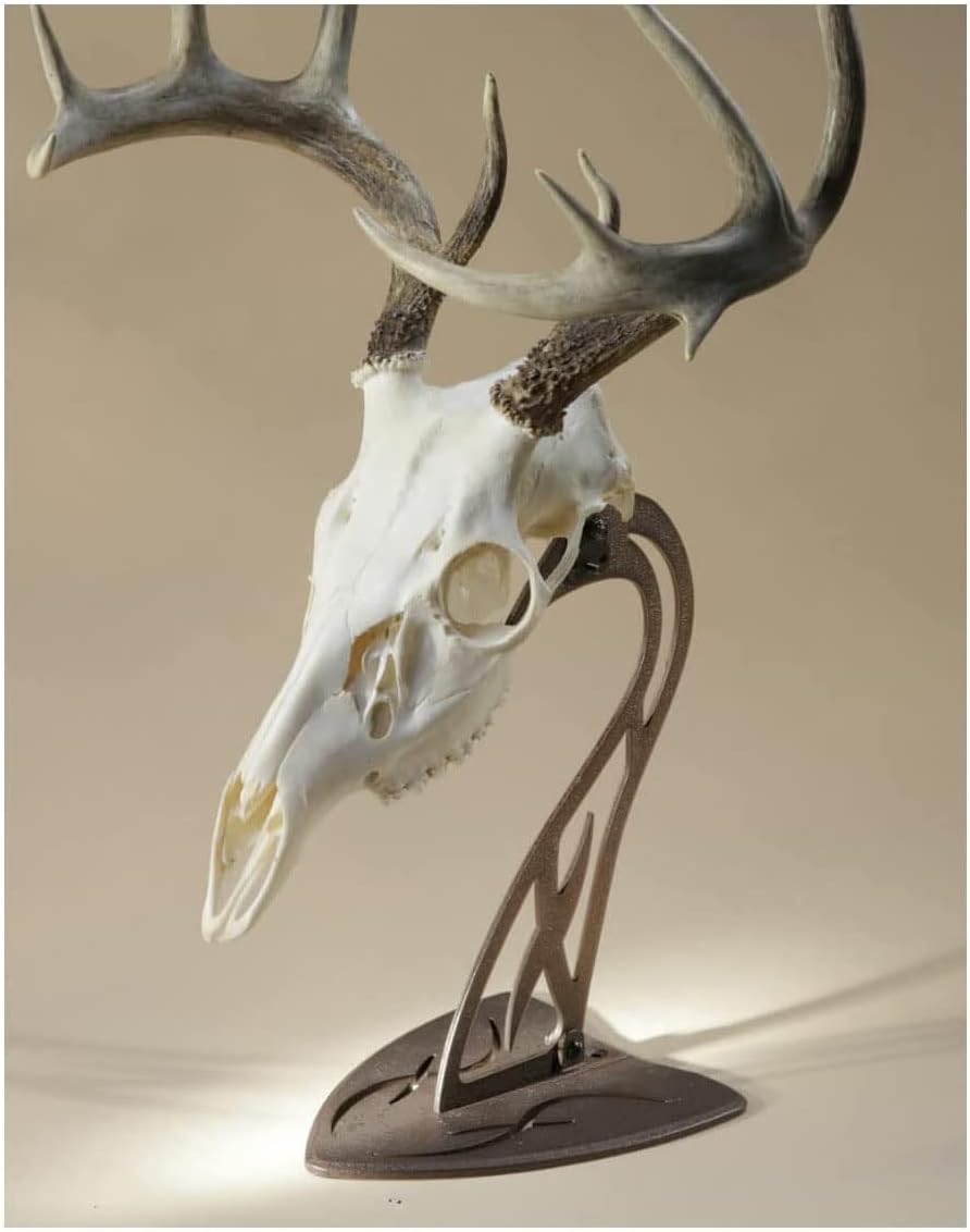 Skull Hooker Table Hooker Powder Coated Steel Trophy Mount - Perfect Kit for Table Display of Taxidermy Deer Antlers and Other Skulls - Available in Graphite Black and Robust Brown