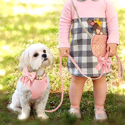 Didog Cute Small Dog Collar Harness & Leash Set, Adjustable Dog Collars And Leashes With Bowtie, Breathable Soft Mesh Padded Dog Vest For Puppies Small Dogs & Cats Walking(Pink, M) #TOP6