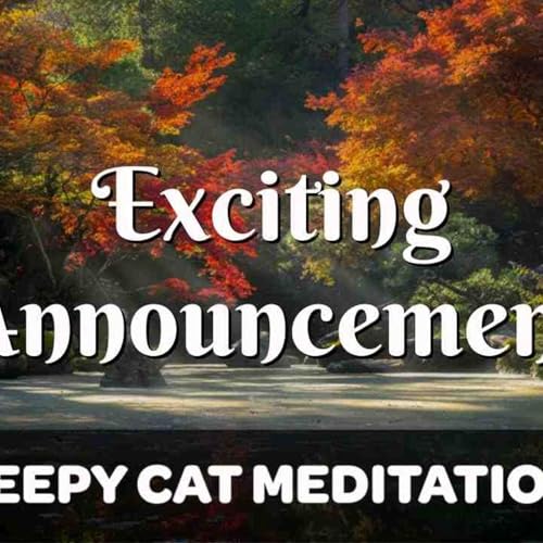 Exclusive Sleepy Cat Content 🐈 Ad-Free Collection _ More (Patreon 2023)