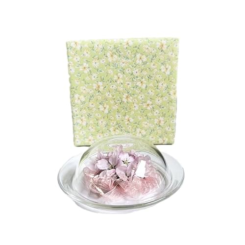 インテリア ボトルフラワー ソメイヨシノ 桜 お皿型 置物 ドライフラワー花 ギフト 上越市 新潟