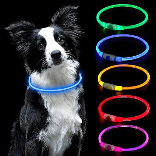 AUAUY Collar Luminoso Perro LED Recargable por USB, Tamaño Ajustable, Impermeable, Seguridad Reutilizable para Perros Pequeños, Medianos y Grandes (Azul) | Ya disponible en tu tienda friki favorita! En mundofriki.es!