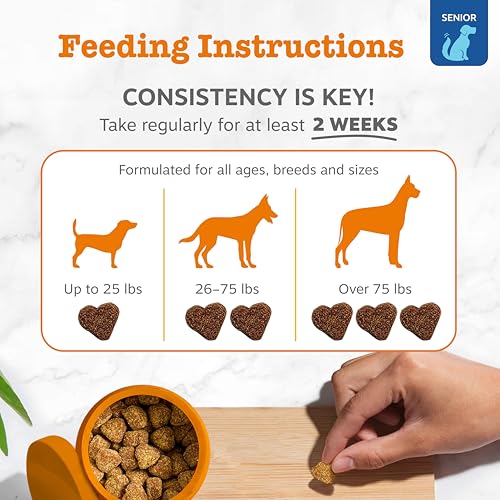 Image of Zesty Paws Senior Dog Allergy Chews - Dog Allergy Relief, Salmon, 90 Ct