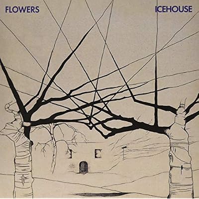 Icehouse