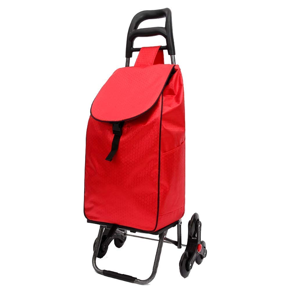 Chariot de courses pliable en acier noir avec sac amovible pour transport