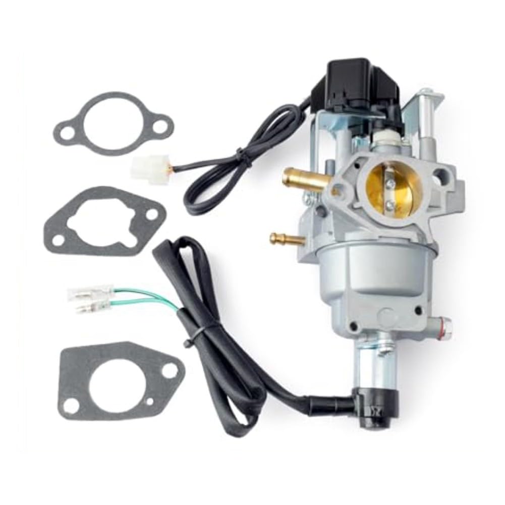 Kit carburateur XP13000X pour réparer panne groupe bicolore