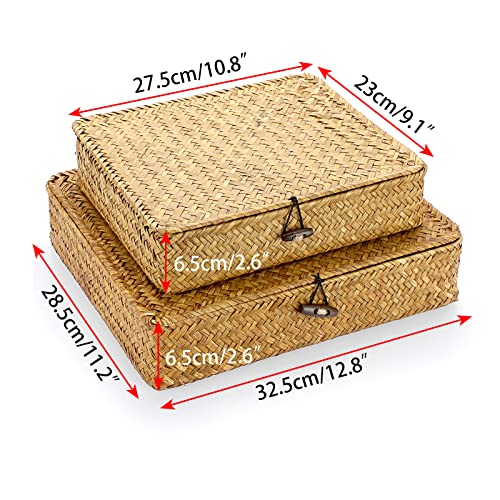 Hipiwe Set of 2 Flat Woven Wicker Storage Bins with Lid Natural Seagrass Basket Boxes Multipurpose Home Organizer Bins Boxes for Shelf Organizer, Caramel