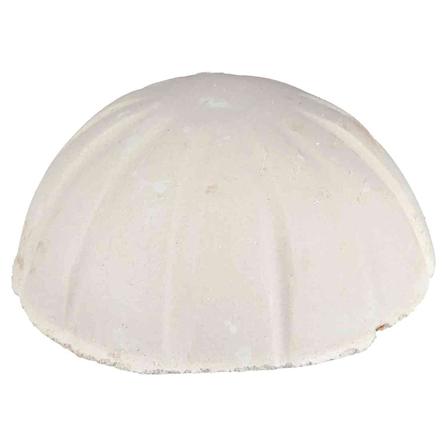 OSSO TX2789 PZ.2 CM.13 (Confezione da 2)