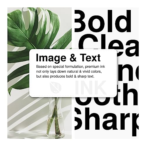 Economink 301 XL Cartucce d'inchiostro, 301XL Nero...