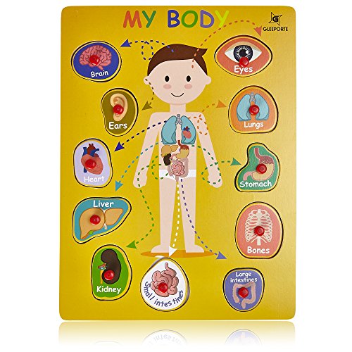 Wooden Peg Puzzle, My Body - Inside - Learning Educational Pegged Puzzle for Toddler & Kids (11 pcs) Gleeporte