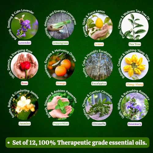Exotic Aromas Essential Oil Lavender Rose Rosemary Orange Jasmine YlangYlang Tea Tree Eucalyptus Lemongrass Peppermint Lemon Citronella Pack of 12 - Image 7