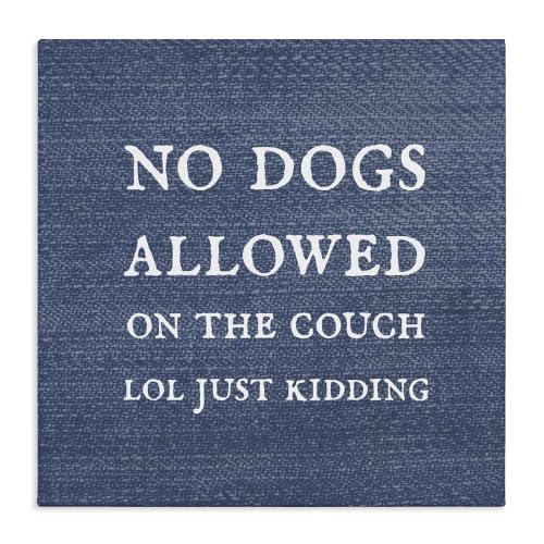 Funny No Dogs Allowed Pet Humor, 24 x 24 Inch Canvas Wall Art